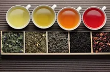 Stille Essence Sip & Restore Tea Tasting