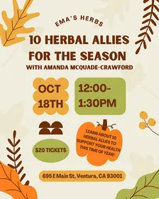 10 Herbal Allies for the Season with Amanda McQuade-Crawford