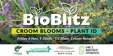 Croom Blooms - Native Plant ID Session - BioBlitz@Croom 2026