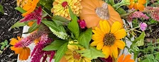 Fall Flower Arrangement Workshop