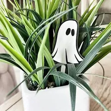 Pints & Plants: Blooms & Boos