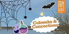 Cobwebs and Concoctions