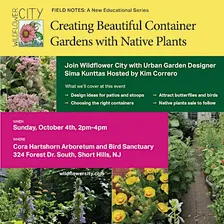 Create Beautiful Container Gardens with Native Plants