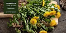 CONFERENZA Le piante alimurgiche. Forse non belle, ma certamente utili