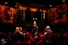 Flamenco Festero