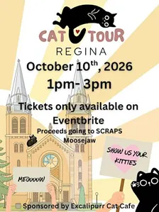 YQR Cat Tour 2026
