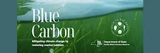 Stewardship Session: Marine Meadows Workshop, Hampton Bays