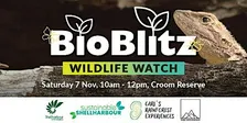 Wildlife Watch - BioBlitz@Croom 2026