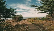 The Lighthouse Within