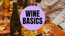 WINE BASICS | Munich Wine Rebels