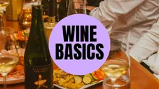 WINE BASICS | Munich Wine Rebels