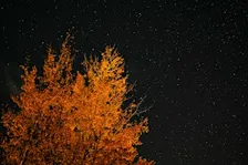 Follow Your Desire: Guided Meditation for the New Hunter Moon