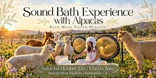 Sound Bath Experience with Alpacas!