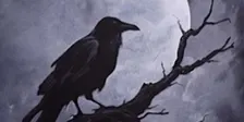 Spooky Raven or Bats Silhouetted on Moon | Cheryl Bielli, instructor