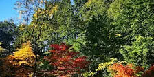 Guided Walk : Queenswood, South Wood and Burghope Quarry