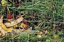 Composting Basics, Kiến Thức Cơ Bản Về Ủ Phân, có dịch tiếng Việt