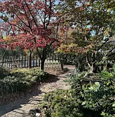 Gardener's Workshop: Gardening in Late Fall