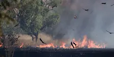 FIRE Exhibition Opening