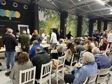 Degustazione guidata di vini e formaggi locali