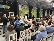 Degustazione guidata di vini e formaggi locali