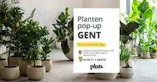 PLANTS MARKET Pop-up GENT