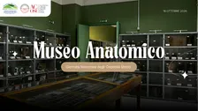 Una Domenica al Museo Anatomico