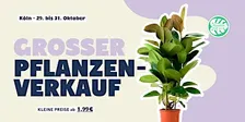 Großer Pflanzenverkauf - Köln