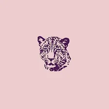 Sapphic Social - Polidor
