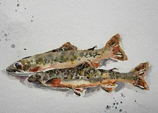 Watercolour Brunch - guided watercolour painting class on November 14