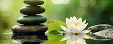 Wherever the Mind Is the Body Will Follow