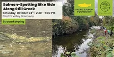 Salmon-Spotting Bike Ride Along Still Creek