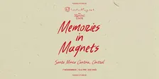 Memories in Magnets