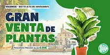 Gran Venta de Plantas - Valencia