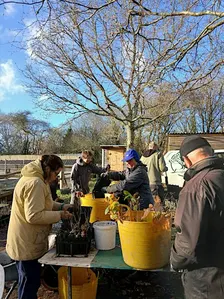 Preparing for Tree Planting season at Dartington Tree Nursery