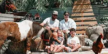 Dudley Farmlet | Family Christmas Photography