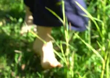 Natur Körper - Embodiment Workshop