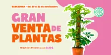 Gran Venta de Plantas - Barcelona