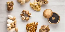 Meatless Meals: Mastering Mushrooms
