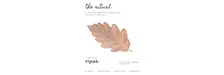 The Ritual #3 — a monthly wellbeing gathering November Edition