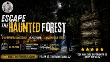 Escape the Haunted Forest: Halloween Edition