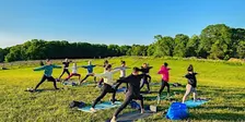 Yoga in the Vineyard