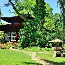 Foto-Workshop im Japanischen Garten Leverkusen