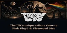 Them & Us -  Pink Floyd and Fleetwood Mac Tribute Band