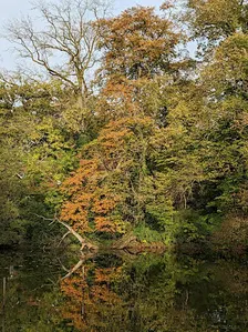 Lekker Chats NL editie herfstwandeling