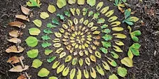 Festa d'Autunno - Mandala naturali