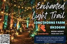 Woodland Light Trail