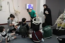 Draw & Discover: Anatomy Lessons