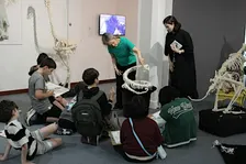 Draw & Discover: Anatomy Lessons