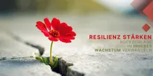 Resilienz stärken – Rückschläge in inneres Wachstum verwandeln