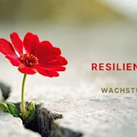 Resilienz stärken – Rückschläge in inneres Wachstum verwandeln